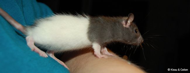 DSC_0337.jpg