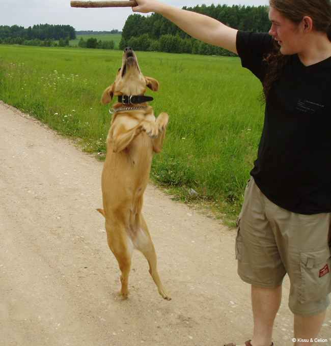 22_Vaadake kui ilusti ma sitsida oskan.jpg