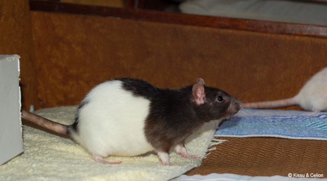 DSC_0114.jpg