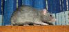 DSC_0047.jpg