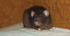 DSC_0073.jpg