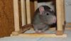 DSC_0077.jpg