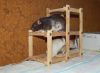 DSC_0125.jpg