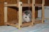 DSC_0127.jpg