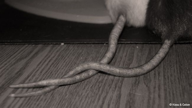 DSC_0105.jpg