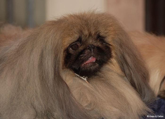 DSC_0121.jpg