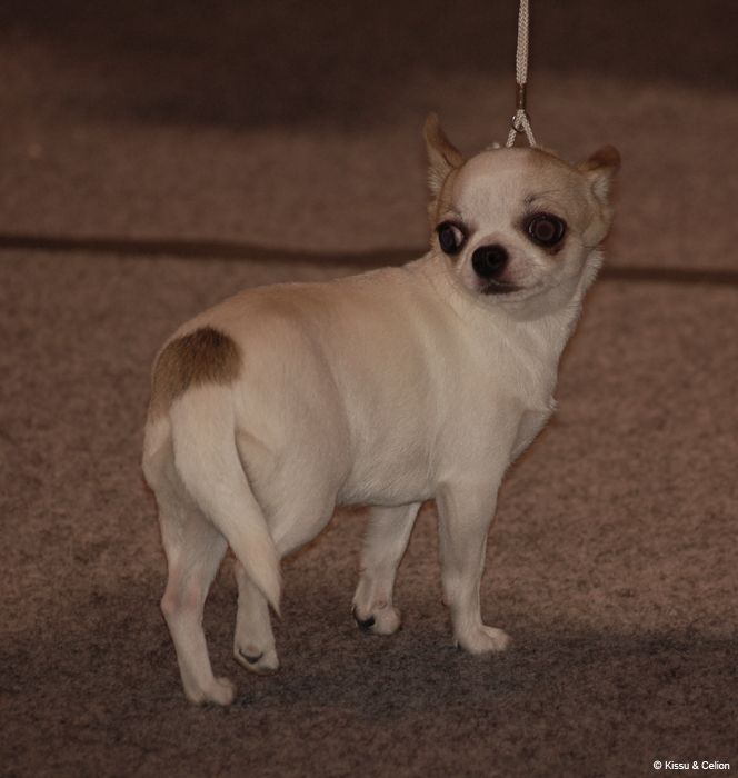 DSC_0174.jpg