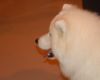 DSC_0021.jpg