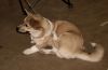 DSC_0106.jpg