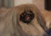 DSC_0121.jpg