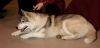 DSC_0196.jpg