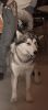DSC_0221.jpg