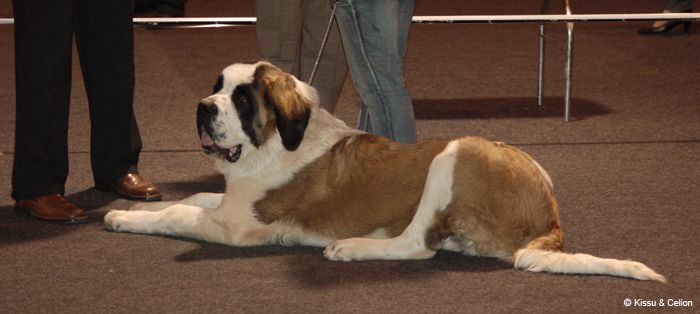 Picture_009.jpg