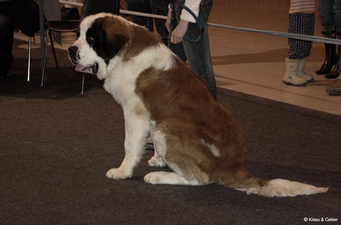 Picture_011.jpg