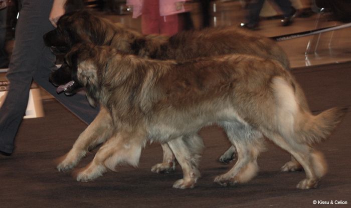Picture_240.jpg