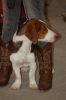 Picture_057.jpg