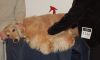 Picture_132.jpg