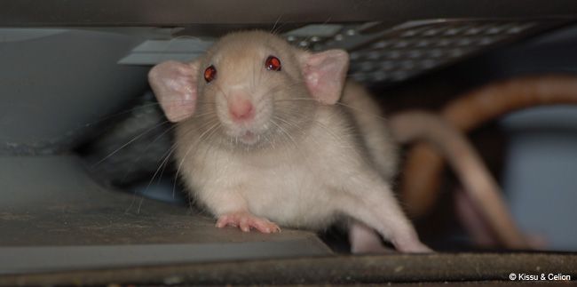 DSC_0019.jpg