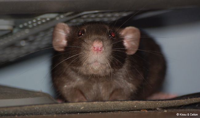 DSC_0020.jpg