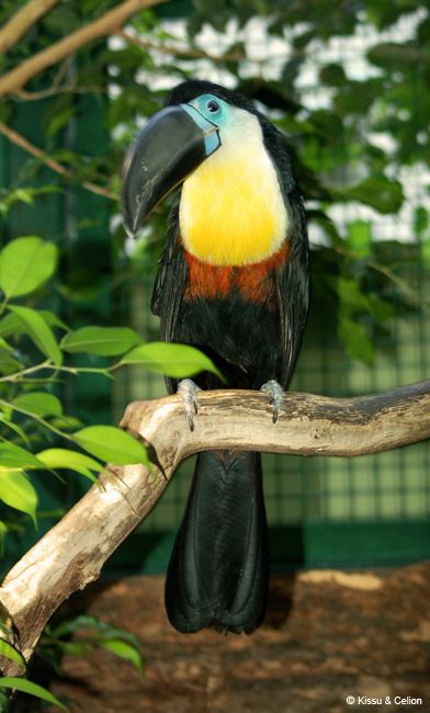 DSC_0115.jpg