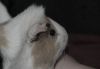 DSC_0125.jpg