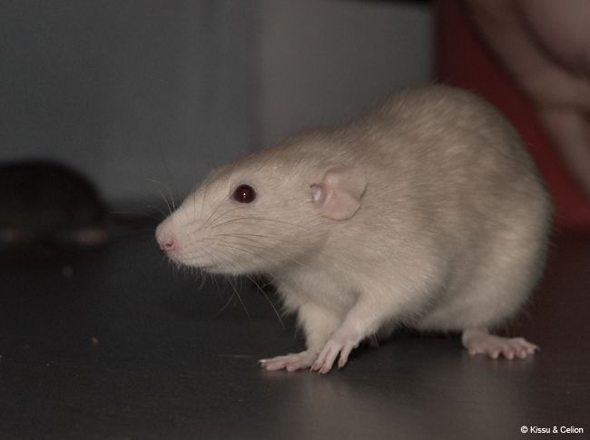 DSC_0035.jpg