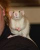 DSC_0076.jpg
