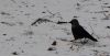 DSC_0070.jpg