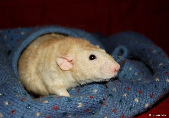 DSC_0006.jpg