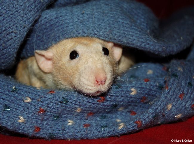 DSC_0014.jpg