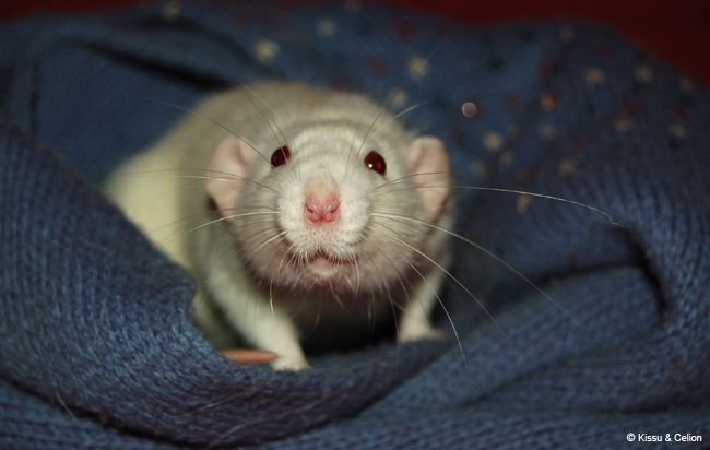 DSC_0116.jpg
