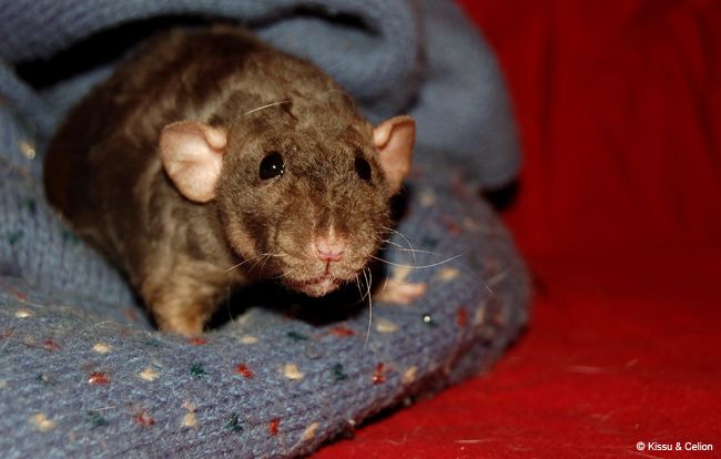 DSC_0255.jpg
