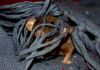 DSC_0258.jpg