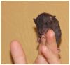 DSC_0522.jpg