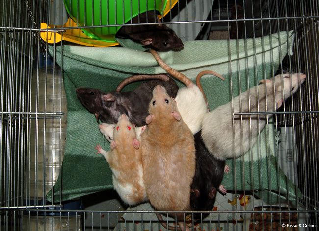 DSC_0001~0.jpg