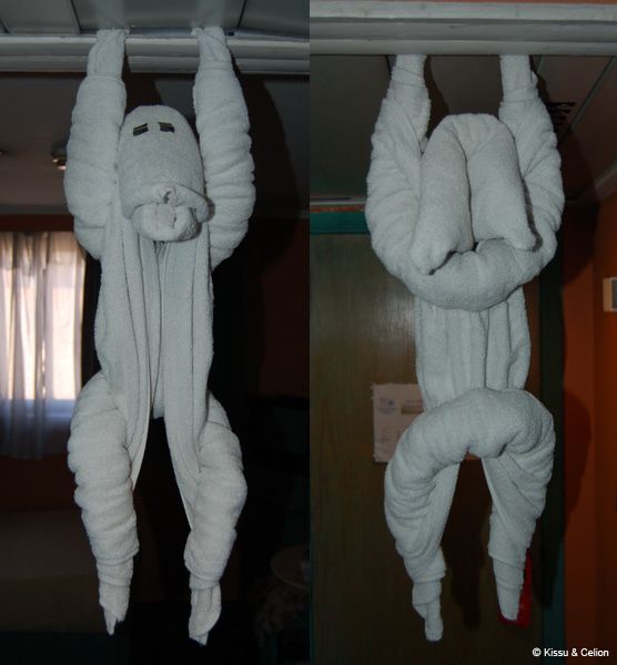 KÃ¤terÃ¤tikoletis / A towel monster
Kujutage ette - astute toauksest sisse ja poole meetri kauguselt vahib selline elukas vastu.

Imagine - you step into the room and the first thing you see is that creature staring at you less than two feet away.
