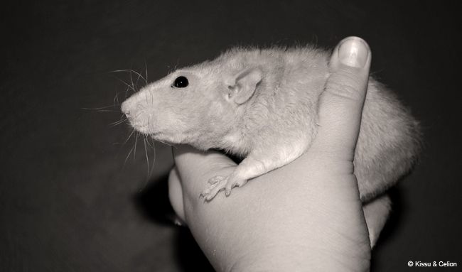 DSC_0200_mv.jpg