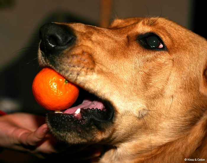 Mandarin1
