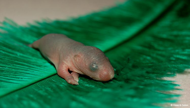 DSC_0011~11.jpg