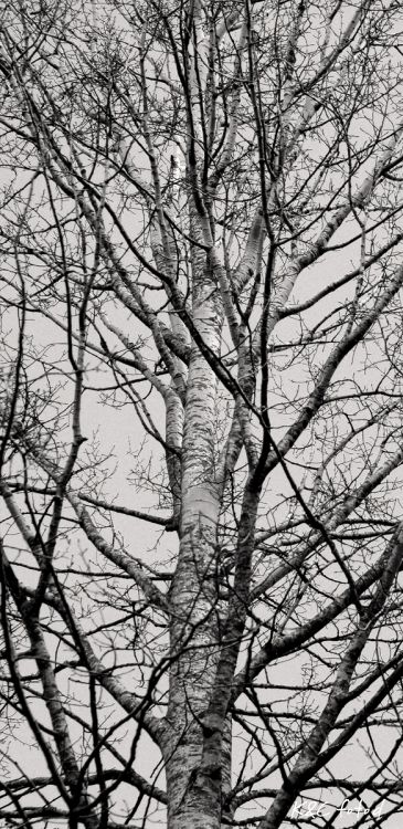 DSC_0052_2.jpg