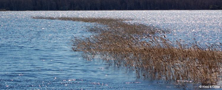 DSC_0076~2.jpg