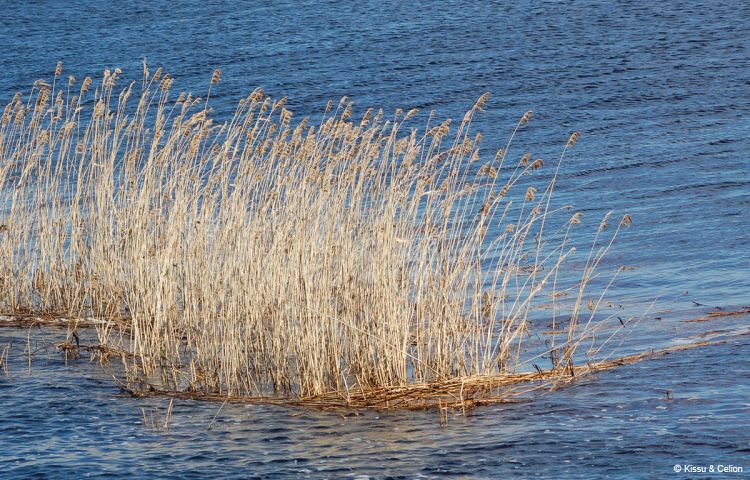 DSC_0087~2.jpg