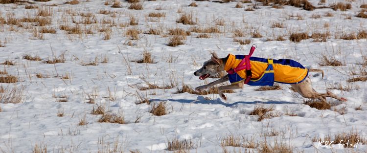 DSC_0089~14.jpg