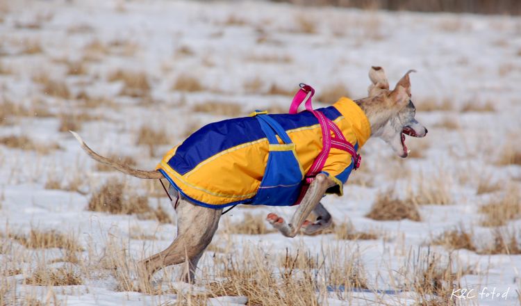DSC_0115~9.jpg