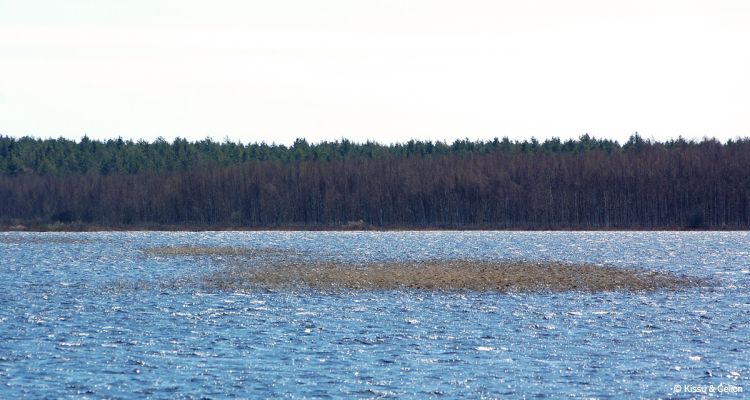 DSC_0127~2.jpg
