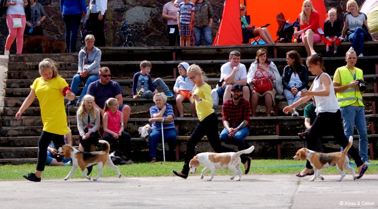 DSC_0131~13.jpg