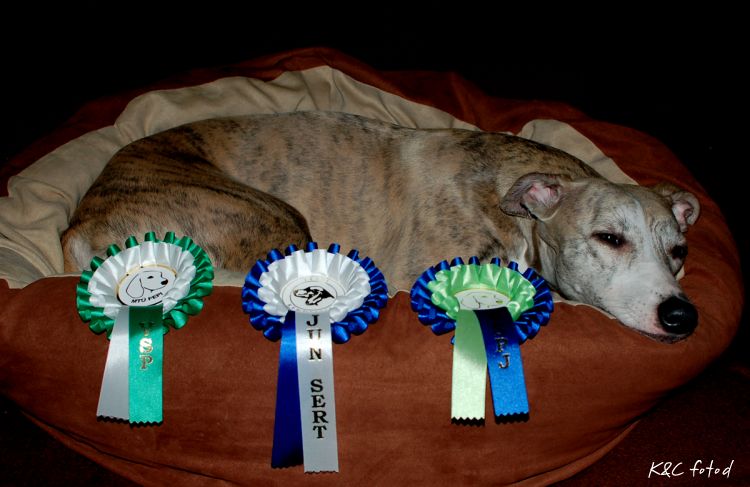 DSC_0136~14.jpg