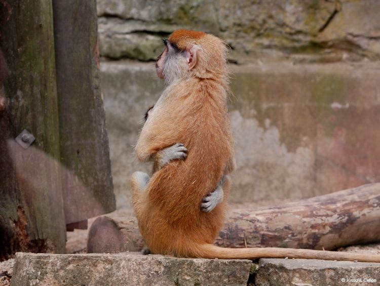 DSC_0166~0.jpg