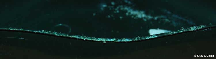 DSC_0200~3.jpg