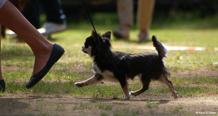 DSC_0231~8.jpg